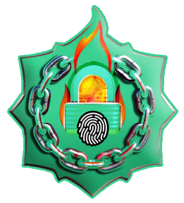 Web3Safer footer logo